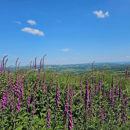 Summit Camping Kit Hill Cornwall Panoramic Views Grass Pitch From 15Pn Or Bella Bell Tent 75Pn Callington Eksteriør billede