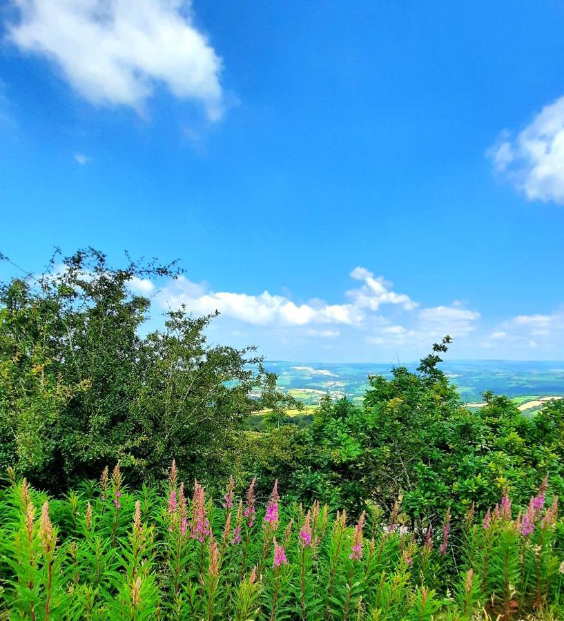 Summit Camping Kit Hill Cornwall Panoramic Views Grass Pitch From 15Pn Or Bella Bell Tent 75Pn Callington Eksteriør billede